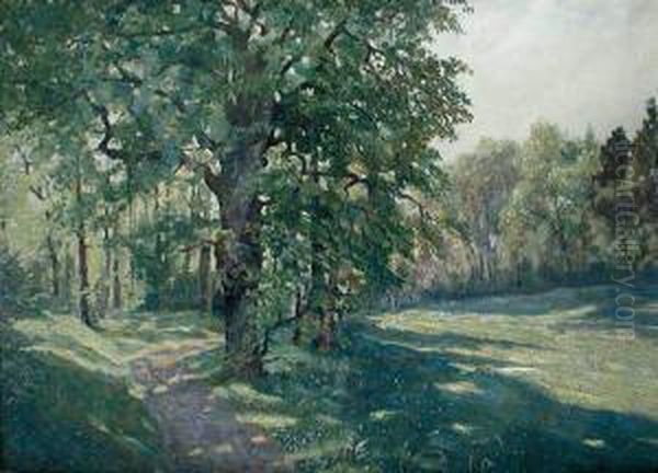 Pejzaz Lesny - view 1