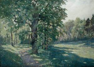 Pejzaz Lesny