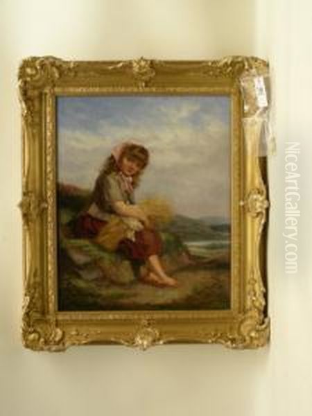 Harvest Time - view 1