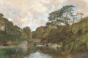 Herons on a tranquil river