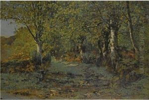 Paysage Paysage