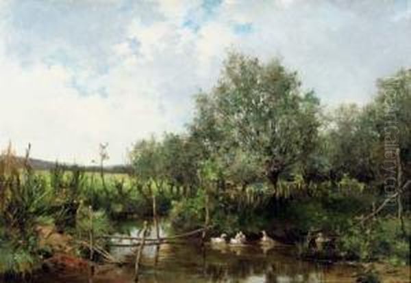 Ducks In A Pond - view 1