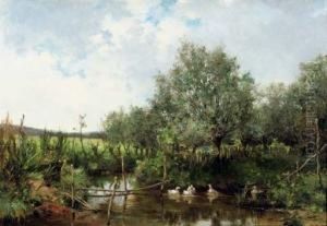 Ducks In A Pond