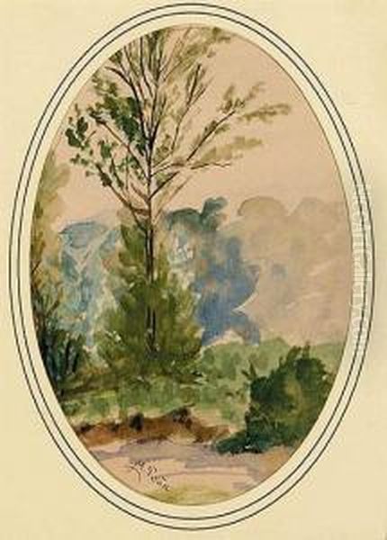 Paisaje - view 1
