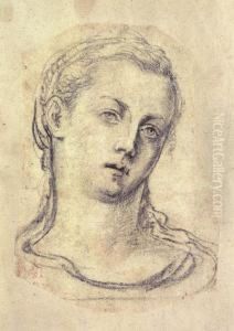 Head Of A Young Woman