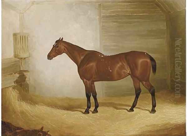 A bay in a stable - view 1