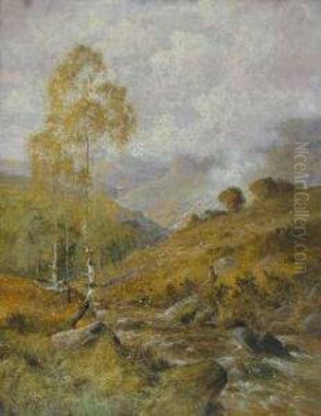 Autumn On The Tummel - view 1