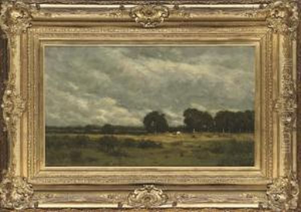 Cattle Grazing In The Fields - view 1