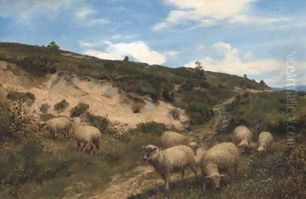 A moorland pasture - view 1