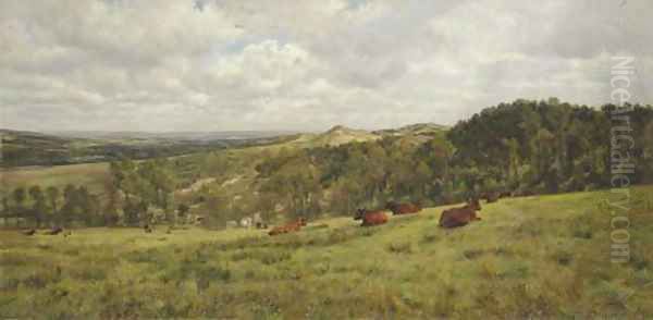 Les Dunes de Coudette, Pas de Calais - view 1