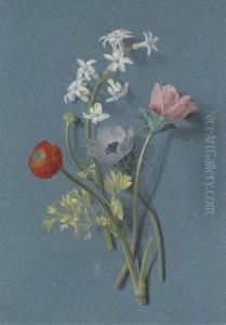 Ranunculus, Anemones And White Hyacinth