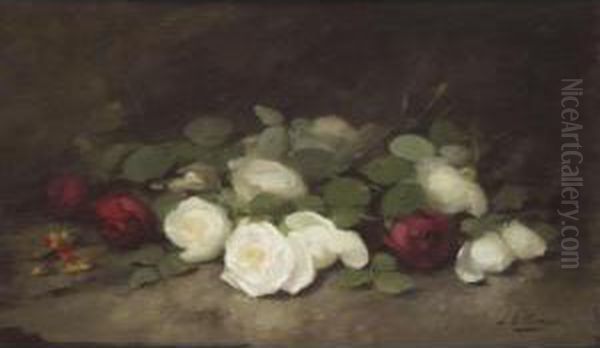 Roses - view 1