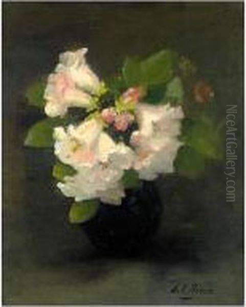 Summer Blooms - view 1
