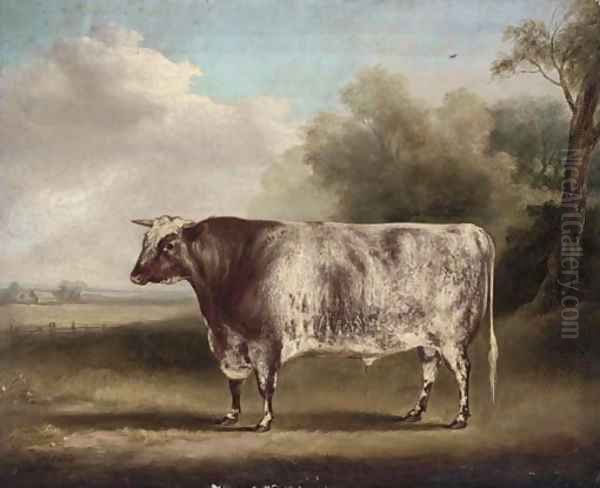 Mr Sam Wiley's Van Dunck, a prize bull in a field - view 1