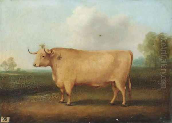 A longhorned bull in a landscape - view 1