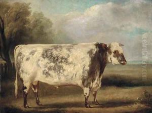 A prize bull in a field by William Henry Davis