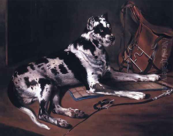 Recumbant Great Dane - view 1