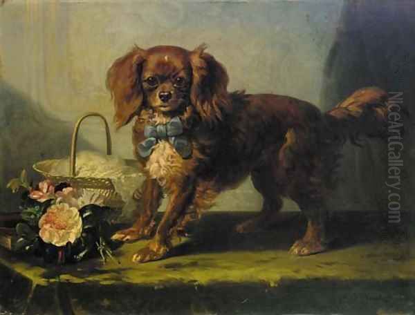 A Toy Spaniel - view 1