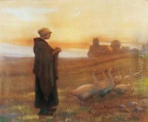 Gardeuse D'oie Au Soleil Couchant. 1899