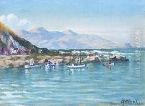 Island Bay, Wellington by John Douglas Perrett