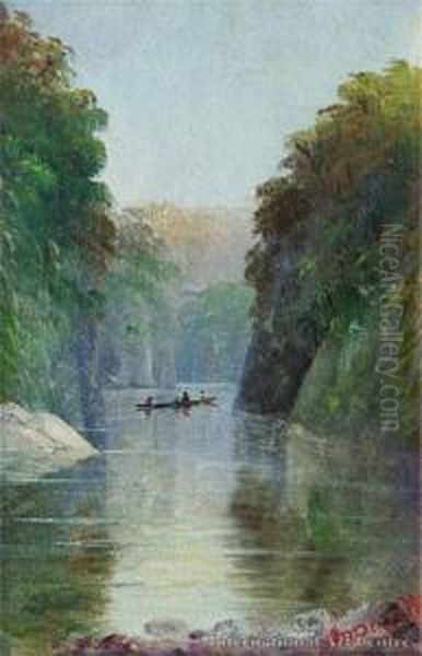 Wanganui River - view 1