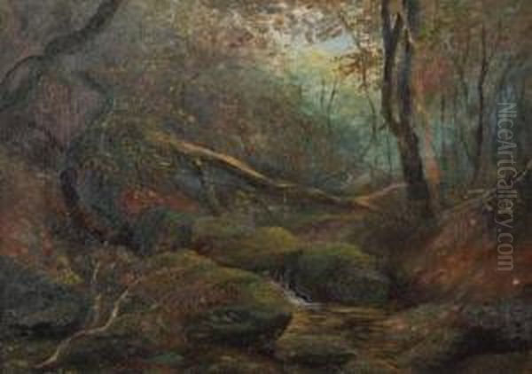 Bush Scene - view 1