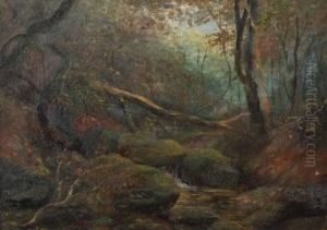 Bush Scene
