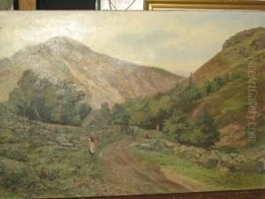 Penmaenbach From The Glen