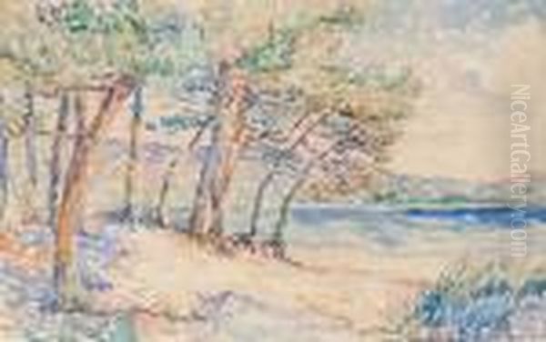 Pins En Bord De Mer - view 1