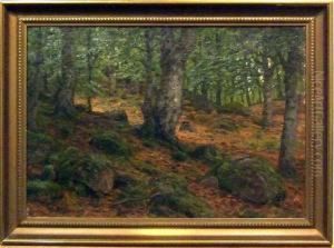 "skogsinterior". by Peter Adolf Persson