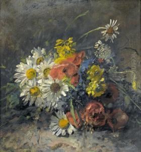 Stillleben Mit Sommerblumen
