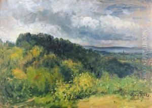 Sommerliche Landschaft Bei Sonnenberg.