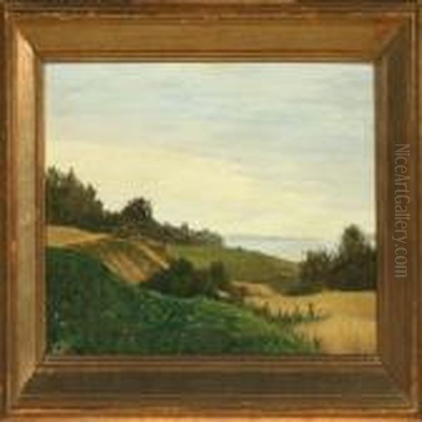 Hilly Summerlandscape With View Over Inlet - view 1