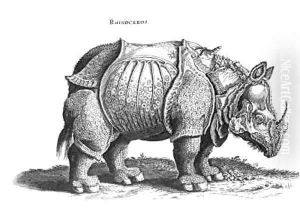 Rhinoceros no76 from Historia Animalium by Durer or Duerer, Albrecht