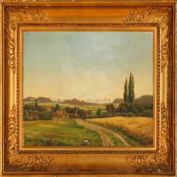 Danish Summer Landscape With A View To The Great Sound - view 1