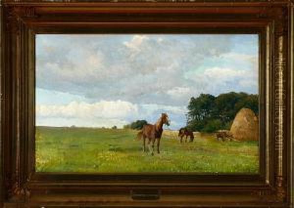 Horses On A Meadow - view 1