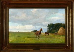 Horses On A Meadow Horses On A Meadow