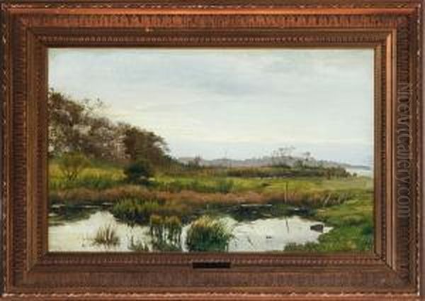 A Danish Meadow Landscape, Autumn - view 1