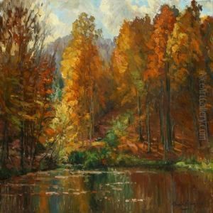 An Autumn Forest
