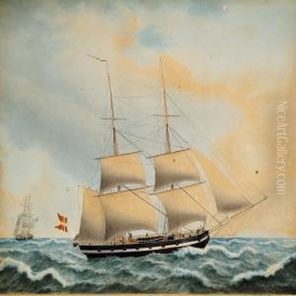 Ship Portrait Of "briggen Colibri From Apenrade" - view 1