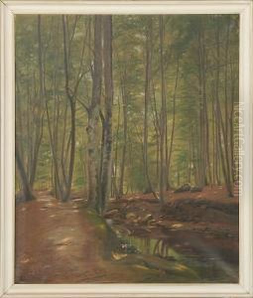 Julius Petersen: Forest Scenery From Marselisborg. Signed Julius Petersen - view 1