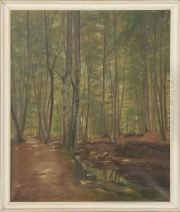 Julius Petersen: Forest Scenery From Marselisborg. Signed Julius Petersen by Julius Hans Henrik Petersen