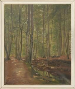 Forest Scenery From Marselisborg