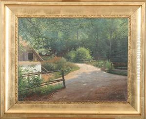Forest Scenery - view 1