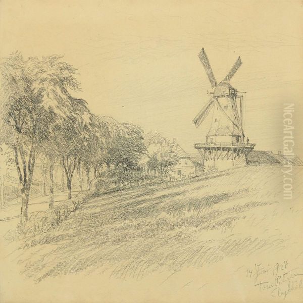 Dybbol Molle - view 1