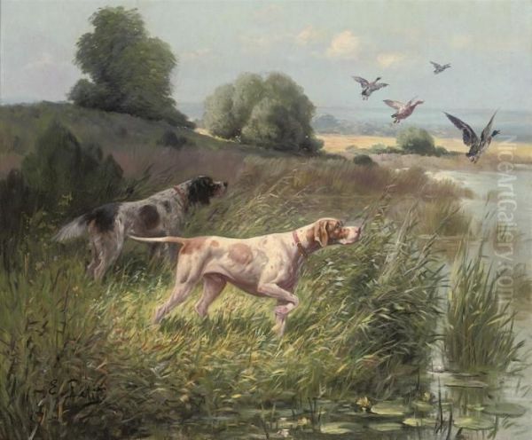 Pointers Flushing Out The Quarry - view 1