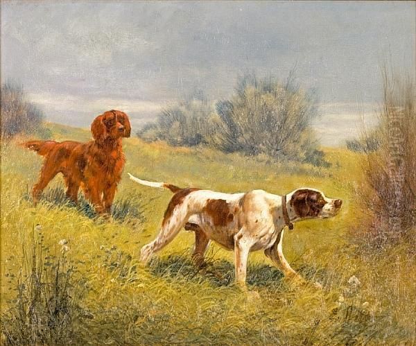 A Pointer And An Irish Setter In A Field - view 1