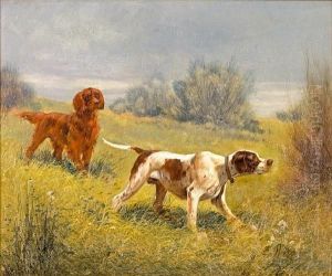 A Pointer And An Irish Setter In A Field A Pointer And An Irish Setter In A Field
