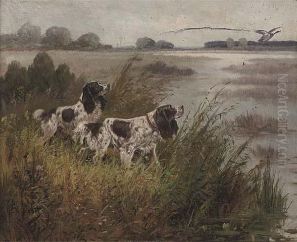 Spaniels Hunting Duck - view 1