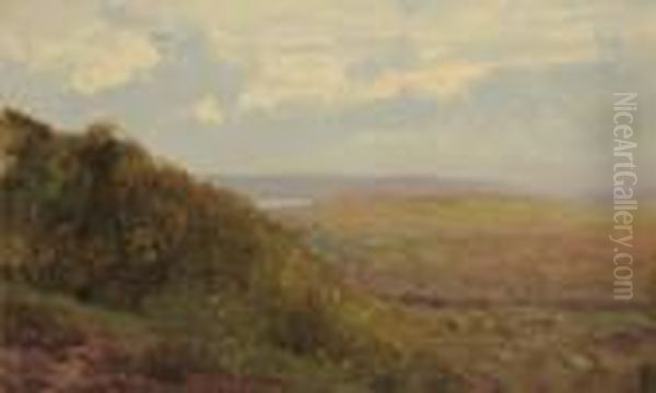 Paesaggio - view 1
